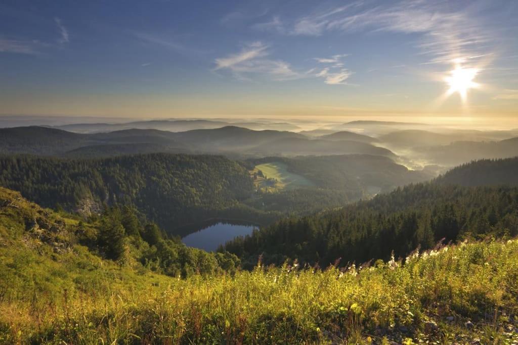 Waldlicht Titisee Exterior foto