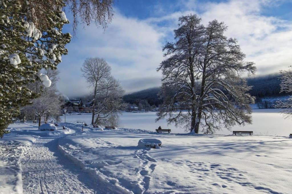 Waldlicht Titisee Exterior foto