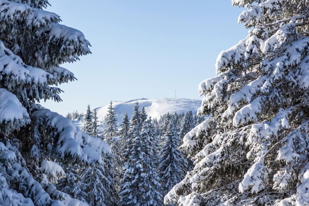 Waldlicht Titisee Exterior foto