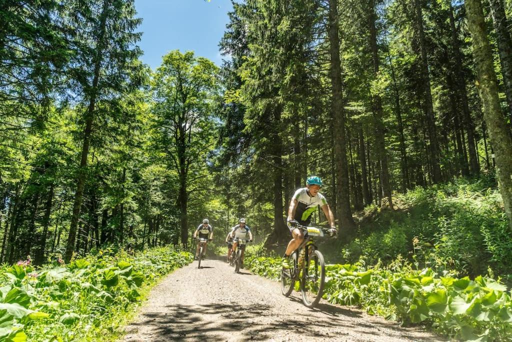 Waldlicht Titisee Exterior foto