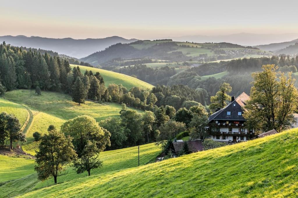 Waldlicht Titisee Exterior foto
