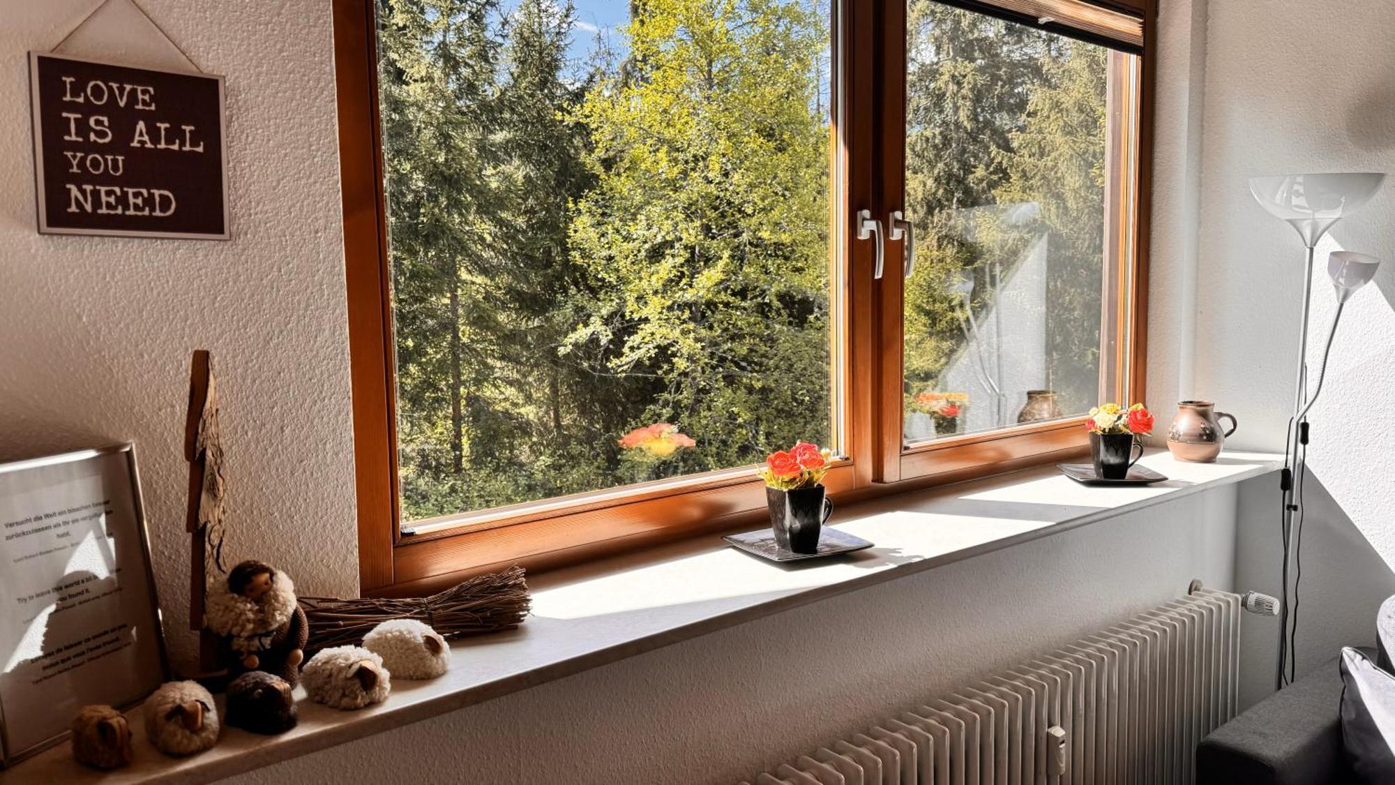 Waldlicht Titisee Exterior foto